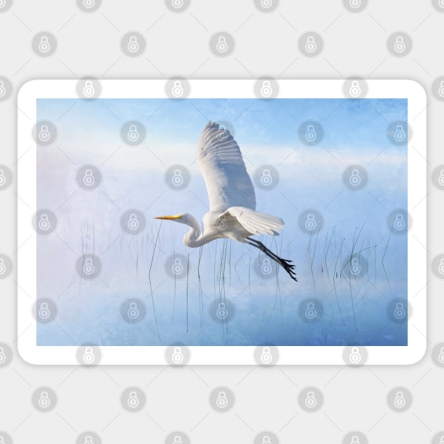 Snowy Egret Morning Sticker by lauradyoung